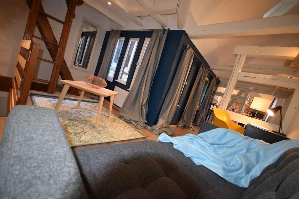 Le Studio Du Quai Des Pecheurs - Charmant Duplex Sur Les Quais Estrasburgo Exterior foto