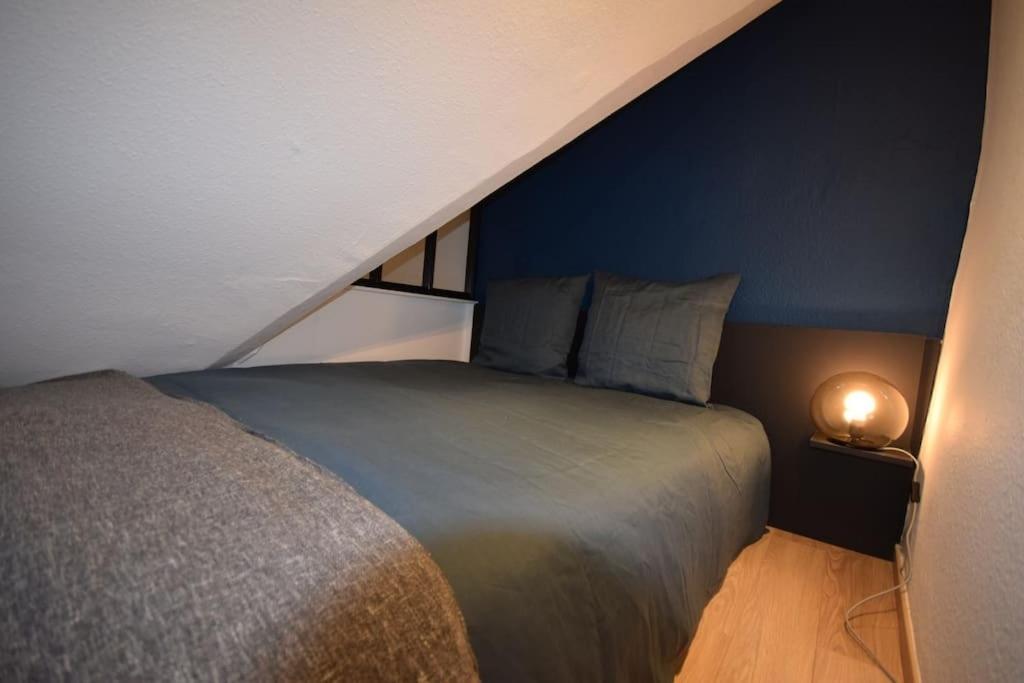 Le Studio Du Quai Des Pecheurs - Charmant Duplex Sur Les Quais Estrasburgo Exterior foto